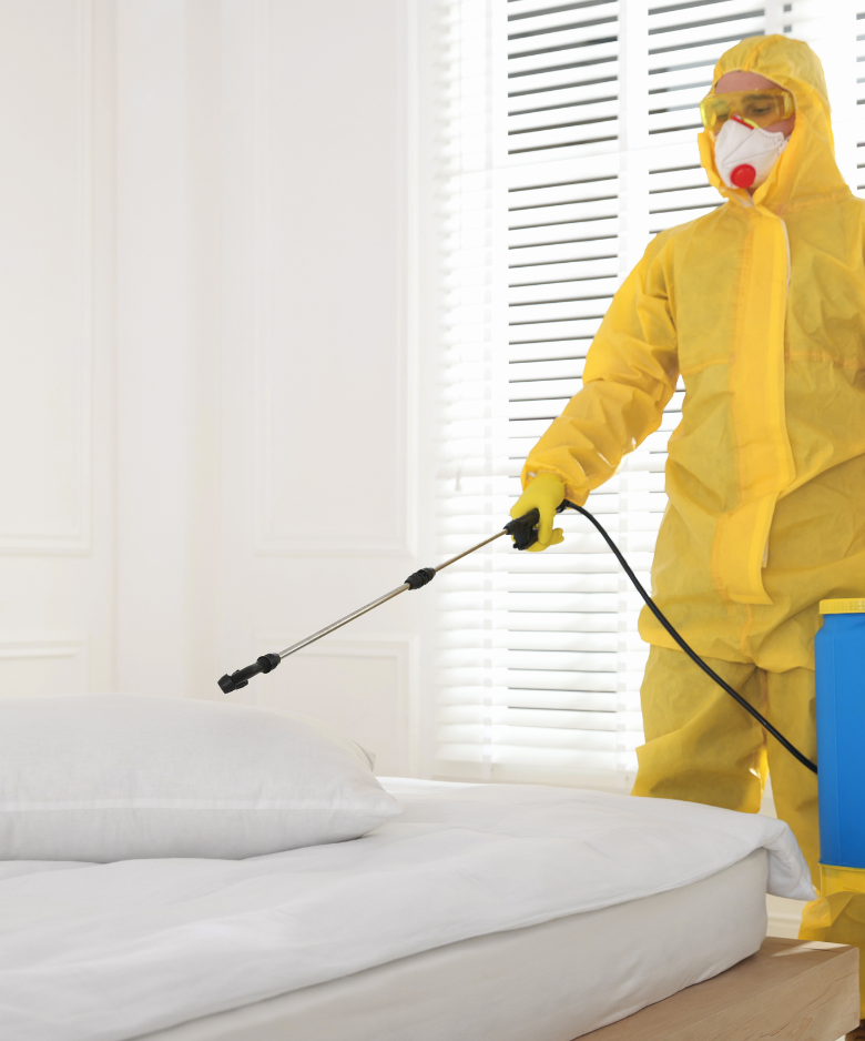 Professional Pest Control Team in Magill
